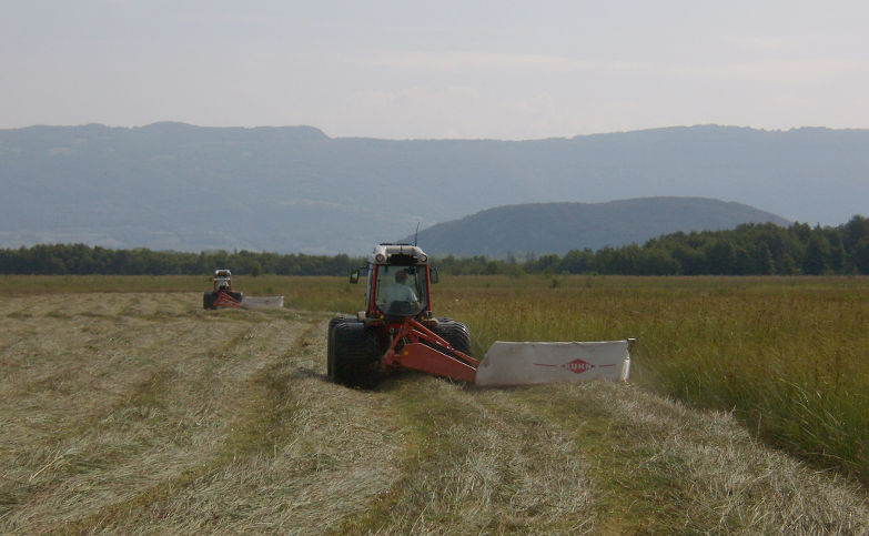 Entretien du marais de Lavours, par fauchage à l’aide de tracteurs équipés de pneus extra larges basse pression permettant d’augmenter la portance des engins.