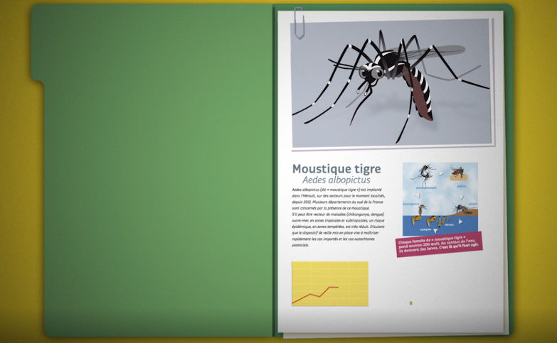 Lutte antivectorielle : lutte contre le moustique tigre à l'EID Rhône-Alpes