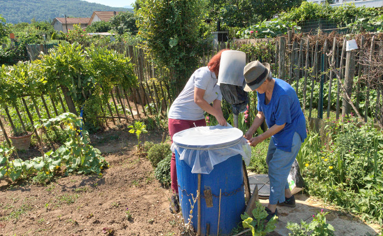 Pose d’une moustiquaire sur un bidon de récupération d’eau de pluie dans un jardin partagé communal en région Auvergne-Rhône-Alpes