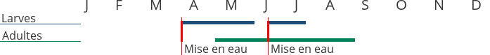 Périodes d’apparition des larves et des adultes des espèces de moustiques Aedes cataphylla et Aedes  pullatus en région Auvergne Rhône-Alpes