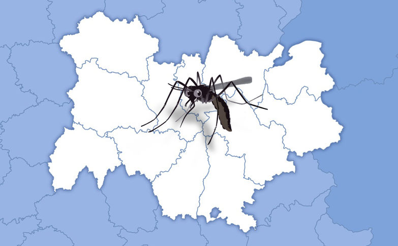 Les espèces locales de moustique en région Auvergne Rhône-Alpes 