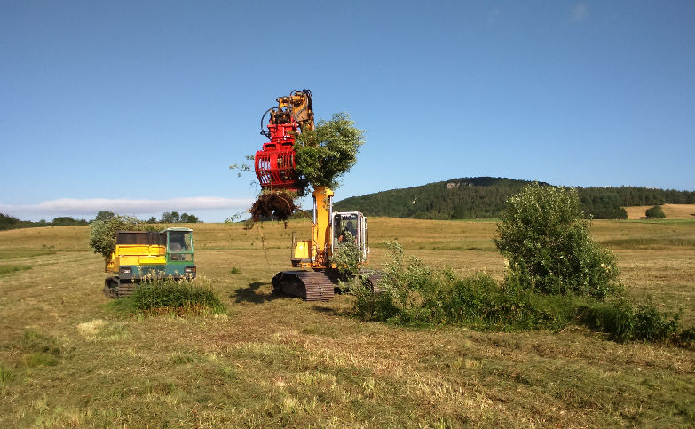 Arrachage de saules en prairie humide à l’aide d’une pelle hydraulique équipée d’une pince de tri modifiée et exportation de la matière avec un transporteur chenillé