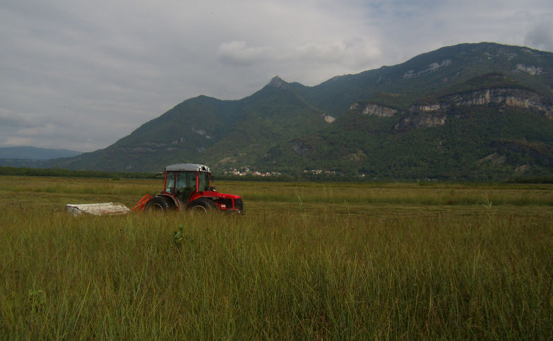 Fauche dans la Réserve Naturelle Nationale du marais de Lavours avec un tracteur Carraro.