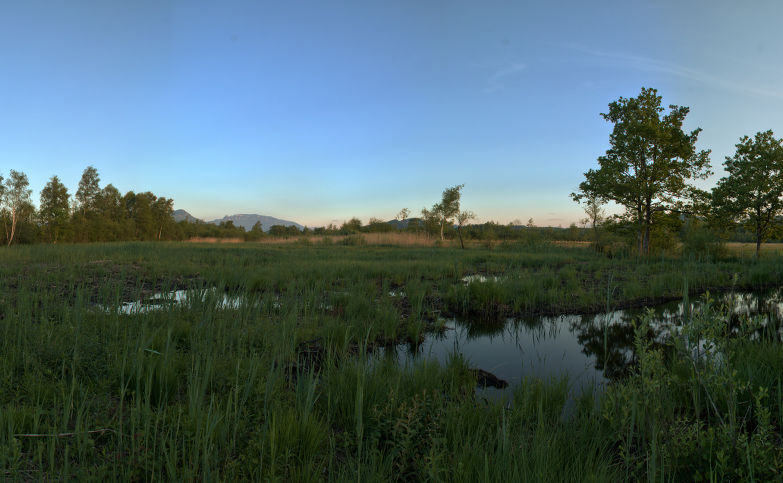 Un des nombreux paysages de la Réserve Naturelle Nationale du marais de Lavours